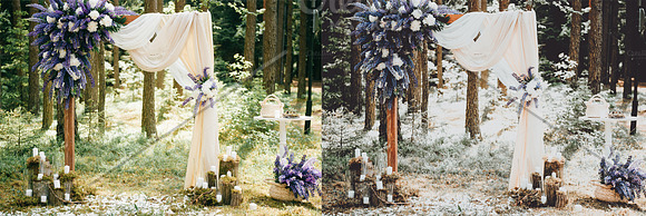 Rustic Wedding Preset Collection in Add-Ons - product preview 6