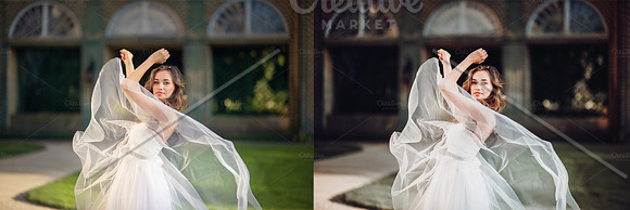 Rustic Wedding Preset Collection in Add-Ons - product preview 7