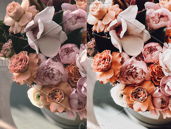 Rustic Wedding Preset Collection in Add-Ons - product preview 18