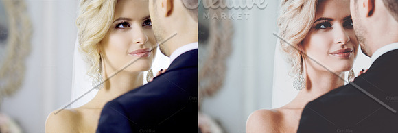 Rustic Wedding Preset Collection in Add-Ons - product preview 24