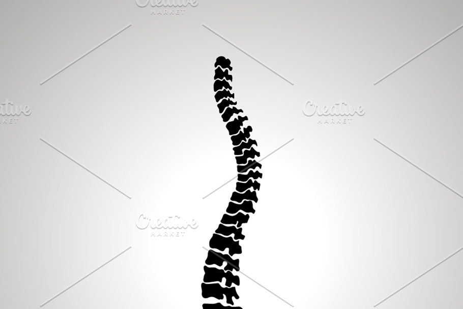 Detailed human spine in Objects - product preview 8