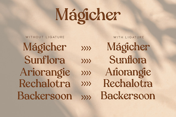 Magicher - Ligature Connected Serif in Serif Fonts - product preview 10