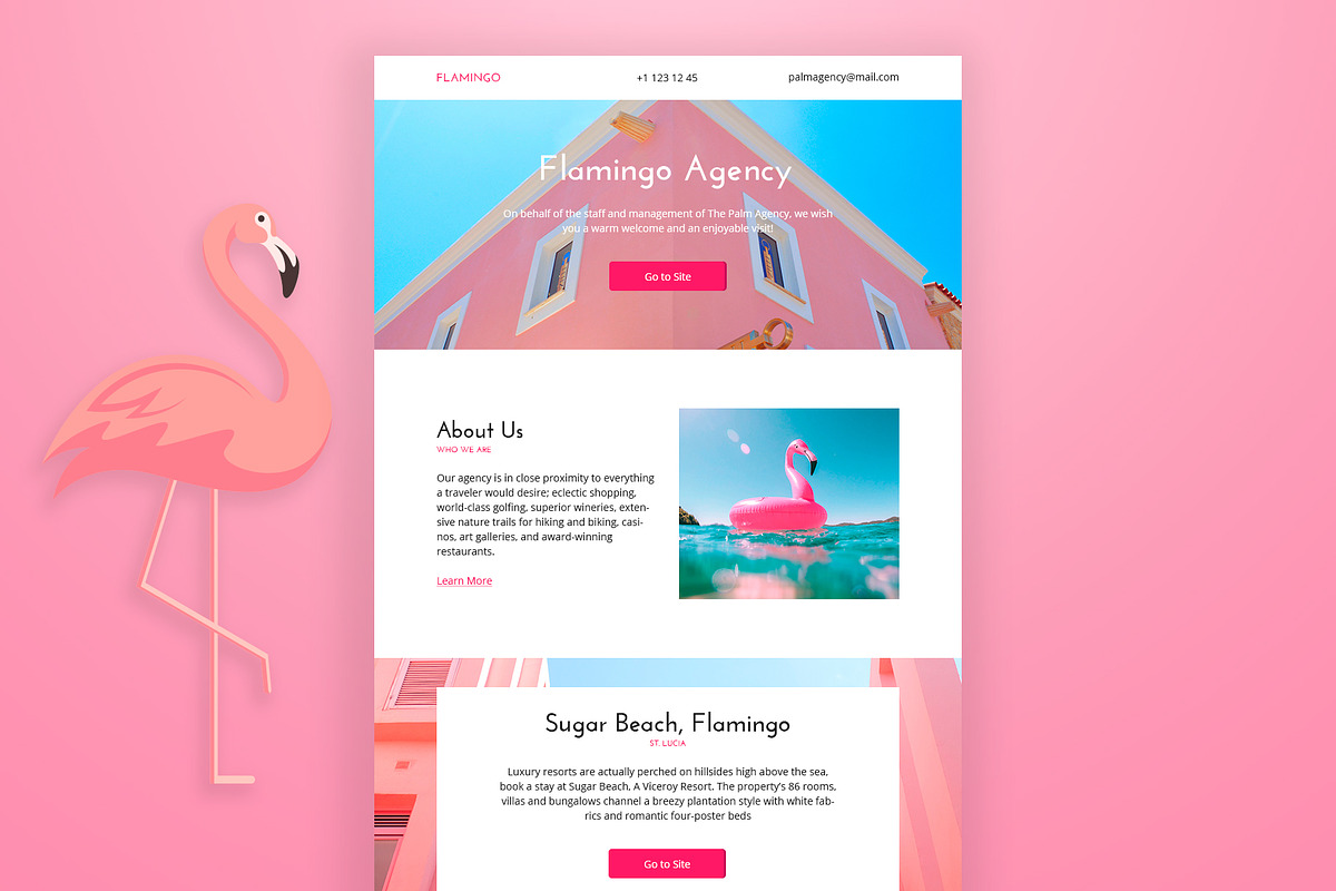 Flamingo Mailchimp Email Template in Mailchimp Templates - product preview 8