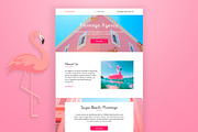 Flamingo Mailchimp Email Template