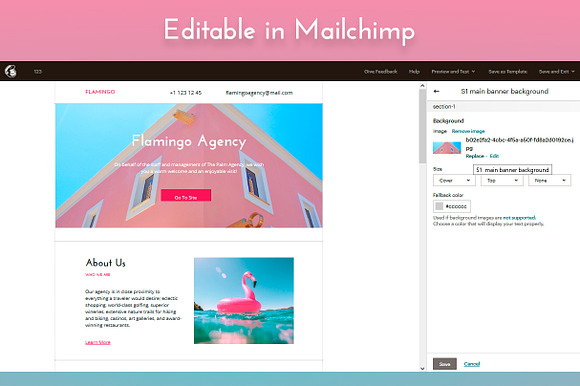 Flamingo Mailchimp Email Template in Mailchimp Templates - product preview 1