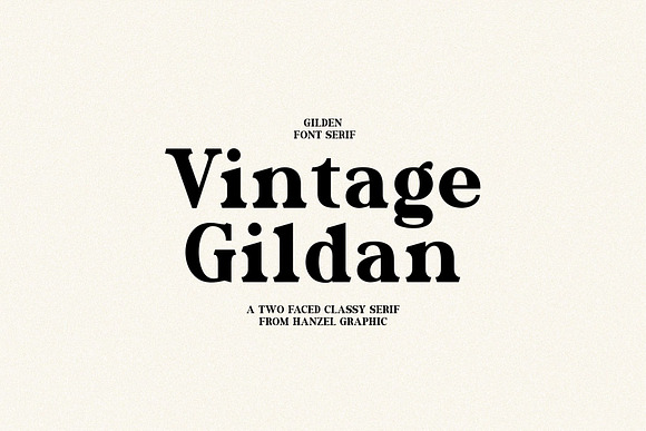 Gilden in Serif Fonts - product preview 6
