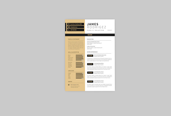 Public Relation Resume Designer in Resume Templates - product preview 1