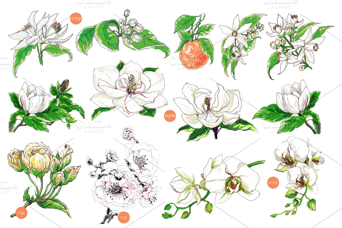 White tropical flowers in vector in Graphics - product preview 8