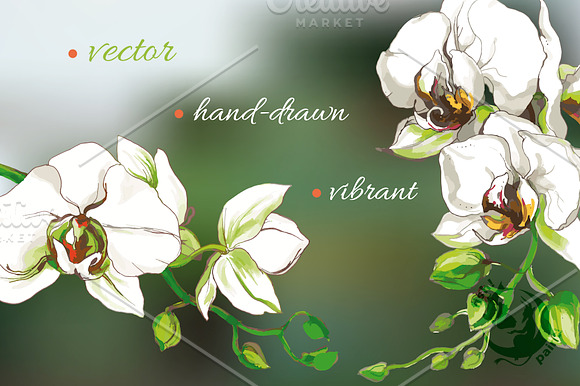 White tropical flowers in vector in Graphics - product preview 1