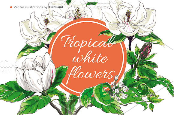 White tropical flowers in vector in Graphics - product preview 2