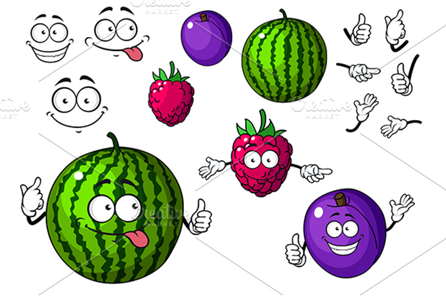 Watermelon, raspberry and plum fruit in Graphics - product preview 8