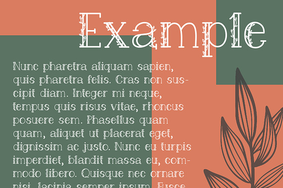 Feuillue | serif font in Display Fonts - product preview 5