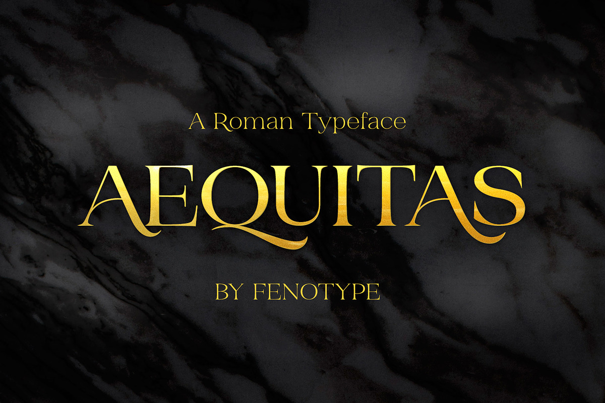 Aequitas Modern Roman in Serif Fonts - product preview 8