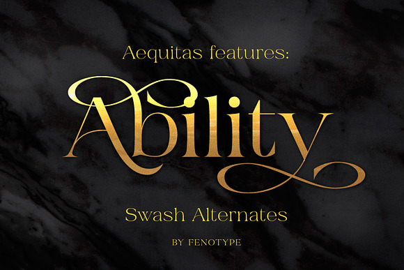Aequitas Modern Roman in Serif Fonts - product preview 4