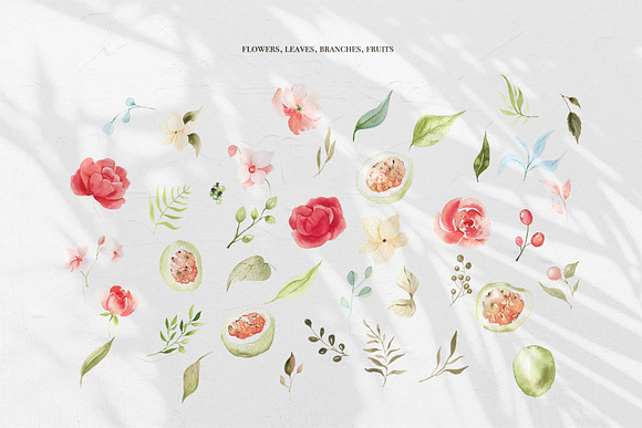 Dainty Blossom Collection in Illustrations - product preview 15