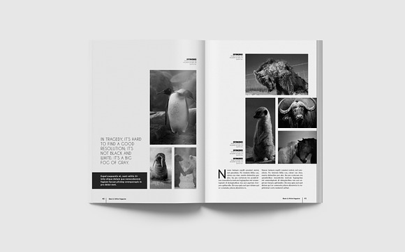 Simple & Clean Magazine Template III in Magazine Templates - product preview 10