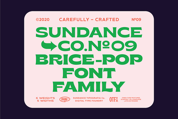 Brice Font Family in Display Fonts - product preview 1