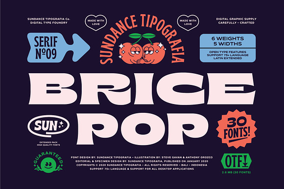 Brice Font Family in Display Fonts - product preview 3