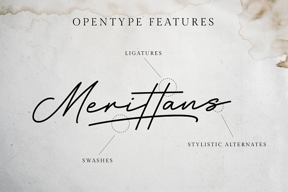 Hertine - Monoline Signature in Script Fonts - product preview 6