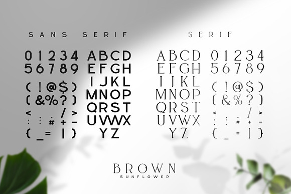 BROWN SUNFLOWER - FONT DUO in Serif Fonts - product preview 11