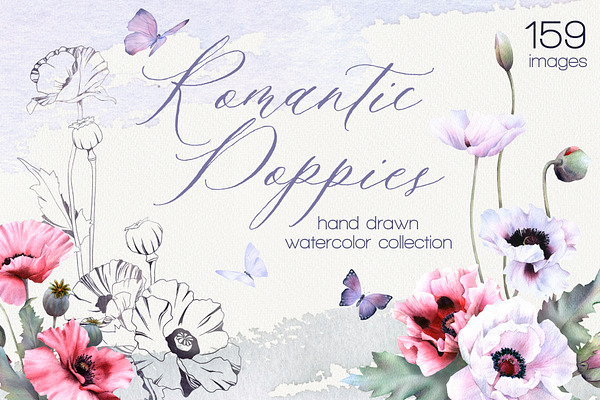 Romantic Poppies watercolor set