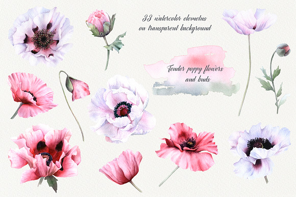 Romantic Poppies watercolor set in Illustrations - product preview 1