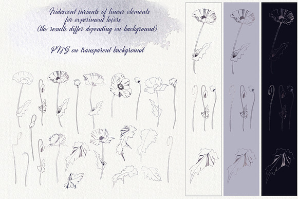 Romantic Poppies watercolor set in Illustrations - product preview 6