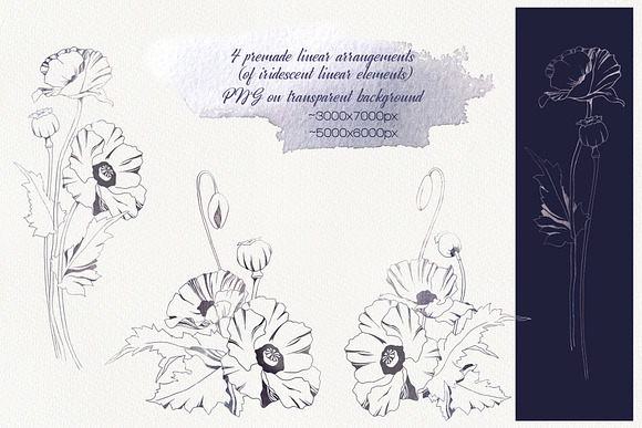 Romantic Poppies watercolor set in Illustrations - product preview 7