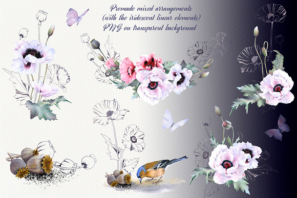 Romantic Poppies watercolor set in Illustrations - product preview 8