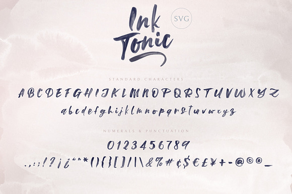 Ink Tonic | A SVG Brush Font in Display Fonts - product preview 17