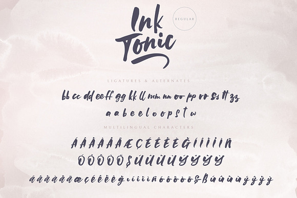 Ink Tonic | A SVG Brush Font in Display Fonts - product preview 20