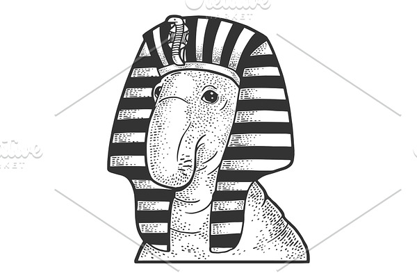 Elephant seal egyptian pharaoh