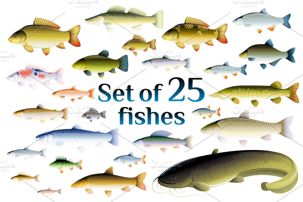 Set of fishes in Illustrations - product preview 8