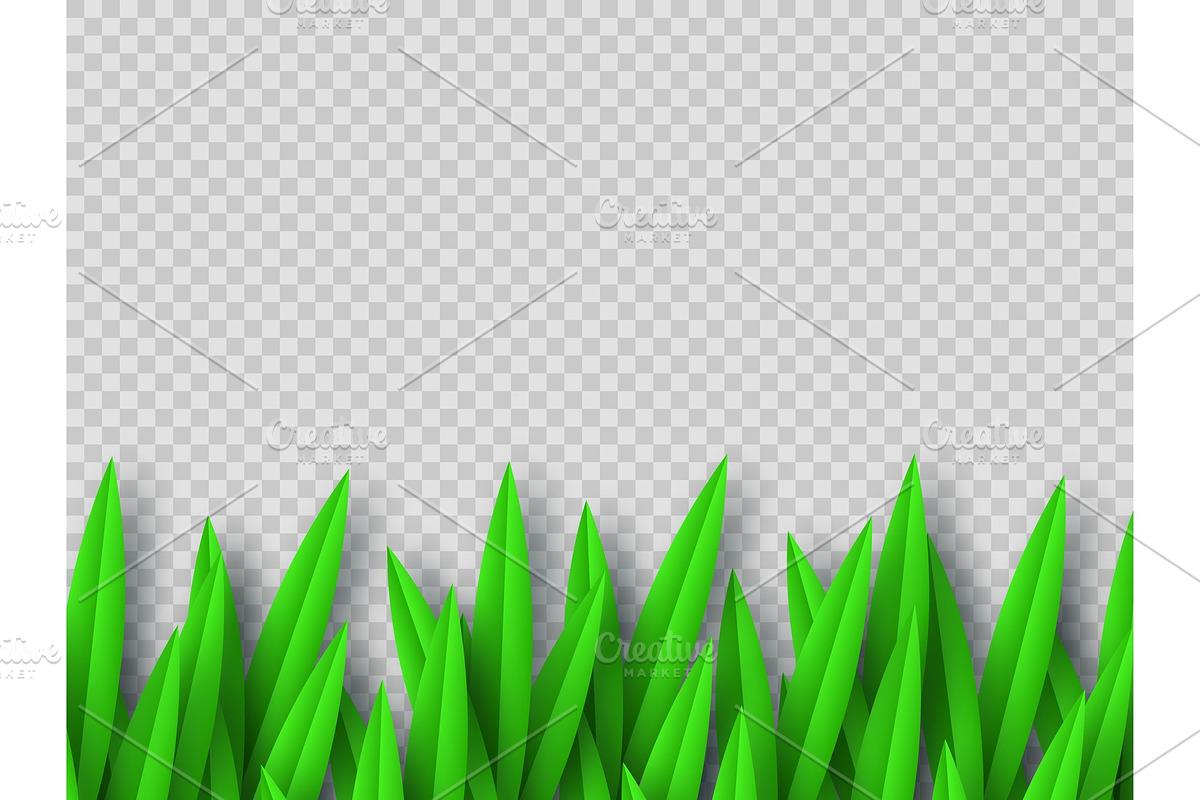 Vector green grass border. in Illustrations - product preview 8