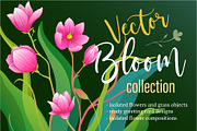 Vector Bloom Collection