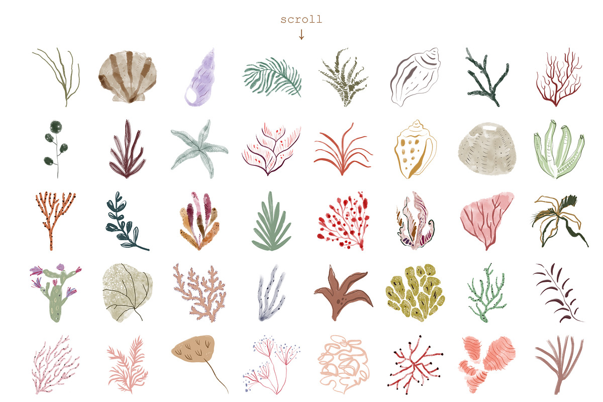 Watercolor Sea Animals Bundle in Illustrations - product preview 8