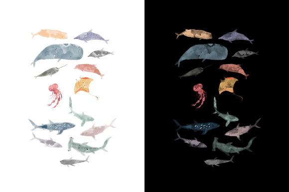Watercolor Sea Animals Bundle in Illustrations - product preview 1