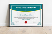 Certificate of Appreciation V23