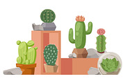 Cactus houseplant, vector
