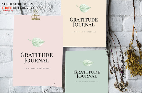 Gratitude Journal -(GREEN Printable) in Brochure Templates - product preview 2