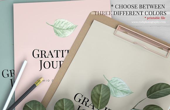 Gratitude Journal -(GREEN Printable) in Brochure Templates - product preview 3