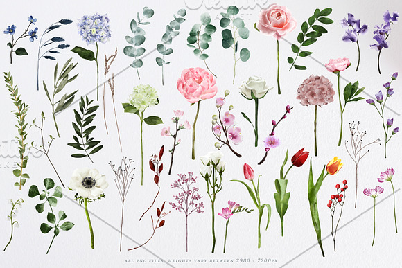 English Garden Watercolour florals in Illustrations - product preview 2