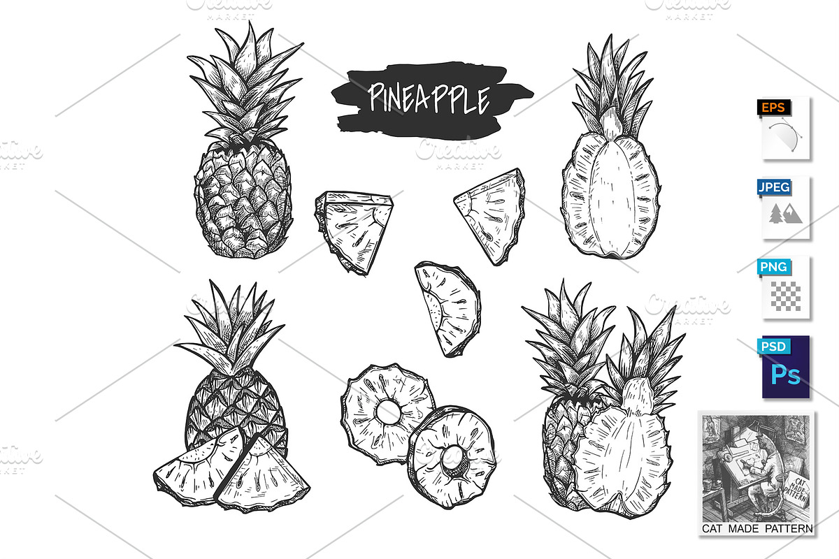 Detailed tropical pineapple drawing in Illustrations - product preview 8