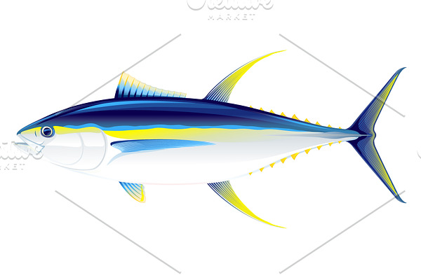 Yellowfin tuna fish