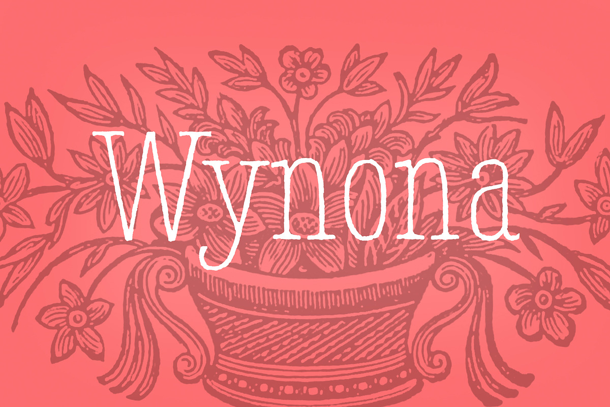 Wynona in Serif Fonts - product preview 8