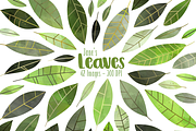Watercolor Leaves Clipart