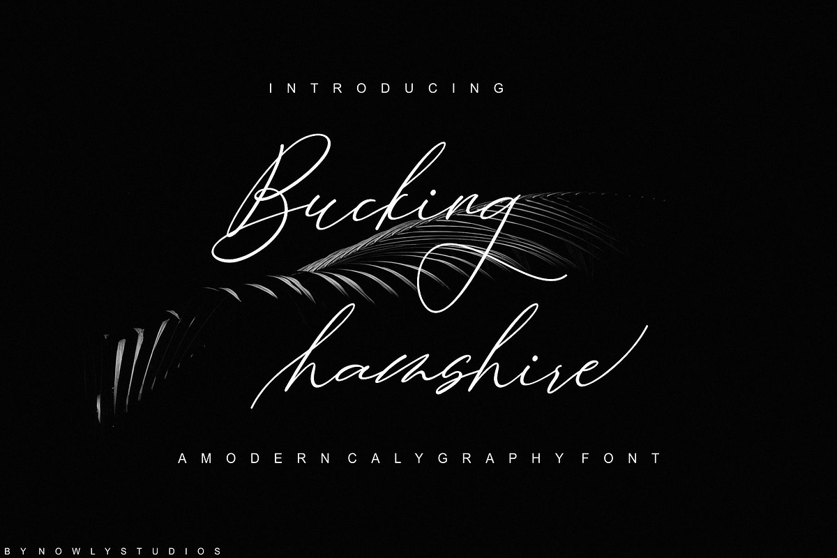 Bucking Hamshire Script in Script Fonts - product preview 8