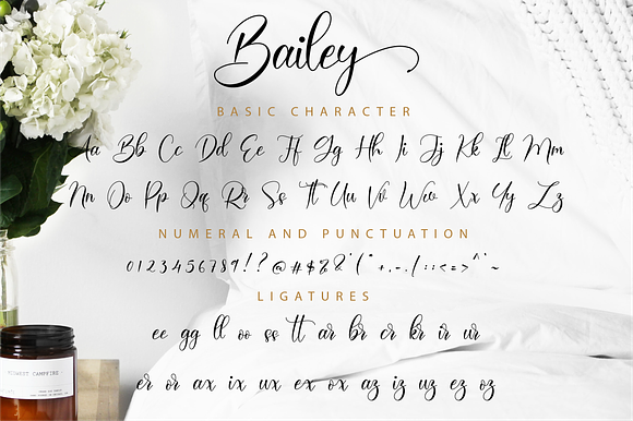 Bailey Script in Script Fonts - product preview 10