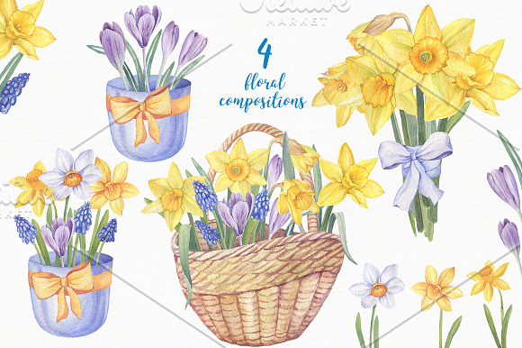 Watercolor Daffodils in Illustrations - product preview 3