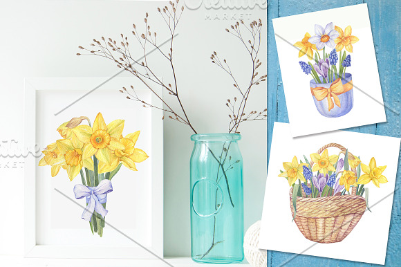Watercolor Daffodils in Illustrations - product preview 5